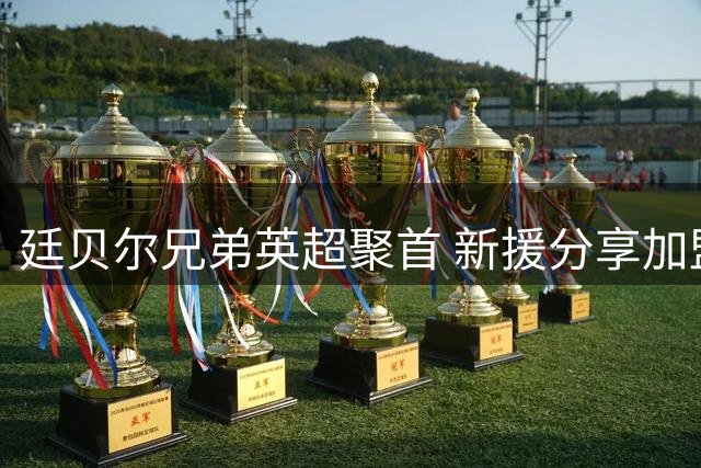 廷贝尔兄弟英超聚首 新援分享加盟水晶宫感受